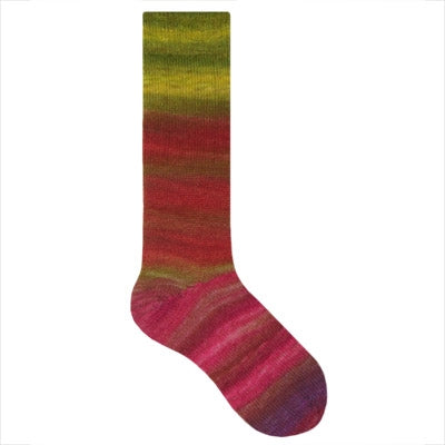 Colour Story Handpainted Twins Sock Yarn