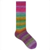 Colour Story Handpainted Twins Sock Yarn