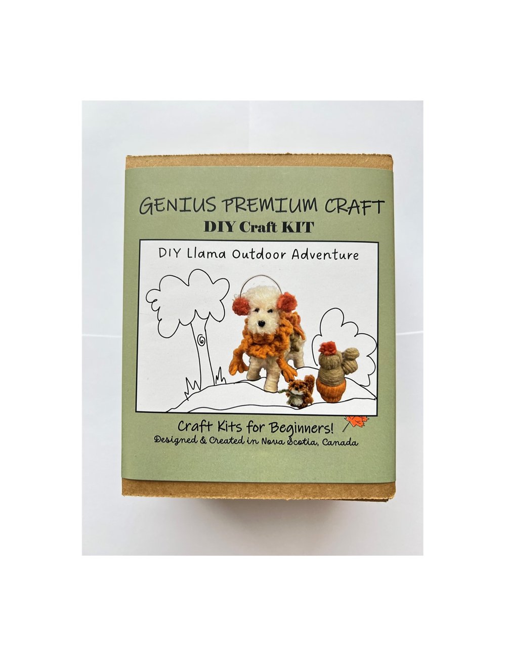 DIY Llama, Cacti and Furry Pet Squirrel Craft Kit